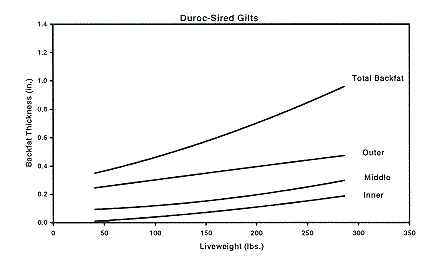 Figure 4a - Duroc-sired Gilts