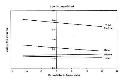 Figure 4 - Low % Lean Sired