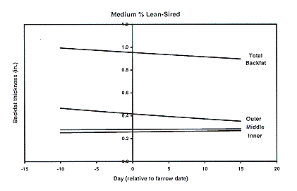 Figure 4 - Medium % Lean Sired