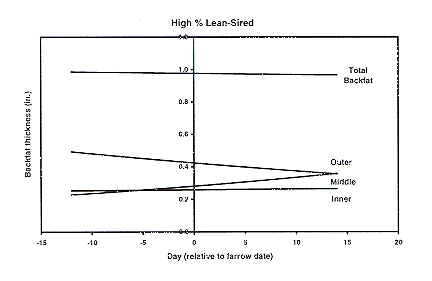 Figure 4 - High % Lean Sired