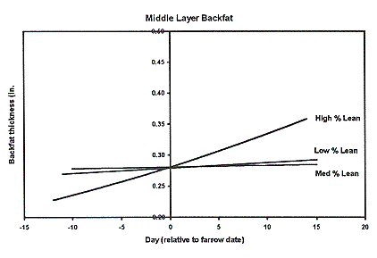 Figure 5 - Middle Layer Backfat