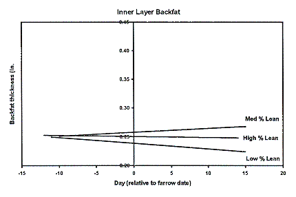 Figure 5 - Inner Layer Backfat