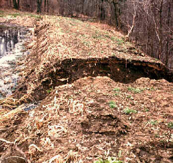 image #3 - lagoon berm failure