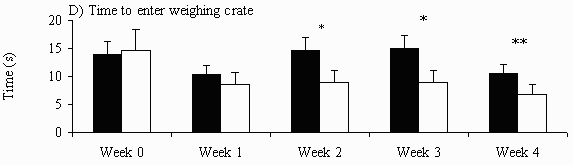 Figure 1 D - Time to enter weighing crate