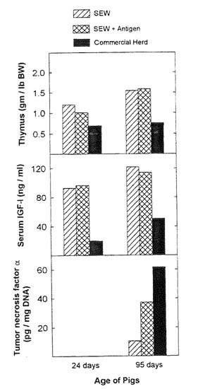 Figure 1. Thymus weights, serum IGF-1 and tumor necrosis factor levels