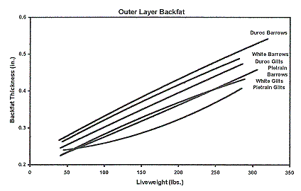 Figure 2b - Outer Layer Backfat