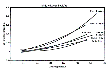 Figure 2c - Middle Layer Backfat