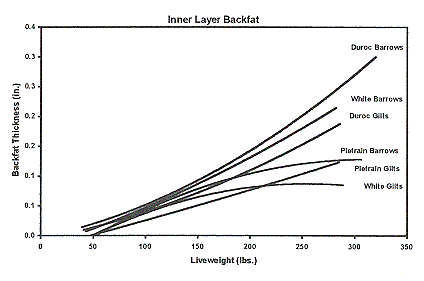 Figure 2d - Inner Layer Backfat