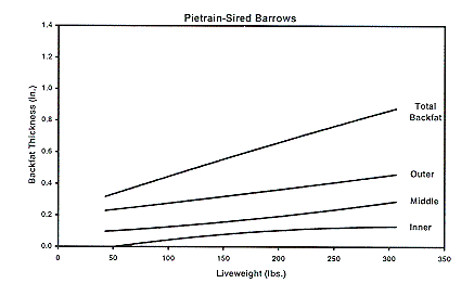 Figure 3b - Pietrain-sired Barrows
