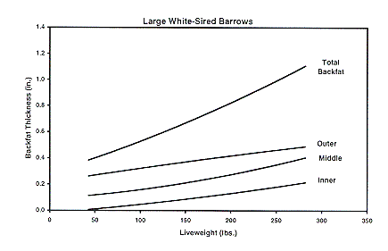 Figure 3c - Large White-sired Barrows