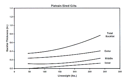 Figure 4b - Pietrain-sired Gilts
