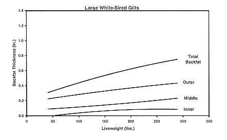 Figure 4c - Large White-sired Gilts